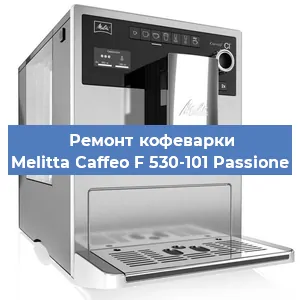 Ремонт кофемашины Melitta Caffeo F 530-101 Passione в Санкт-Петербурге